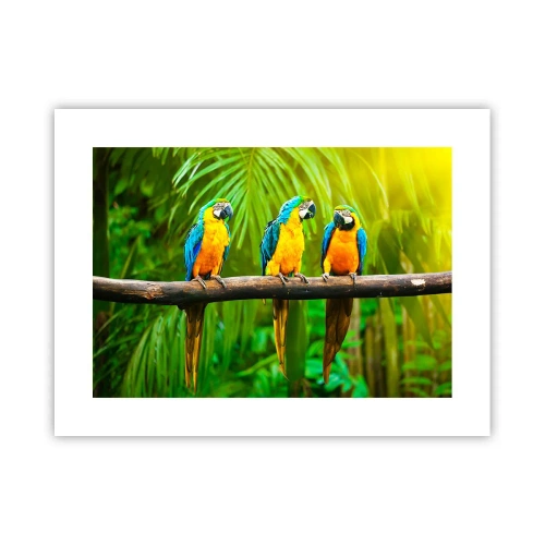 Poszter - És hallottad, hogy ő…? - 40x30 cm