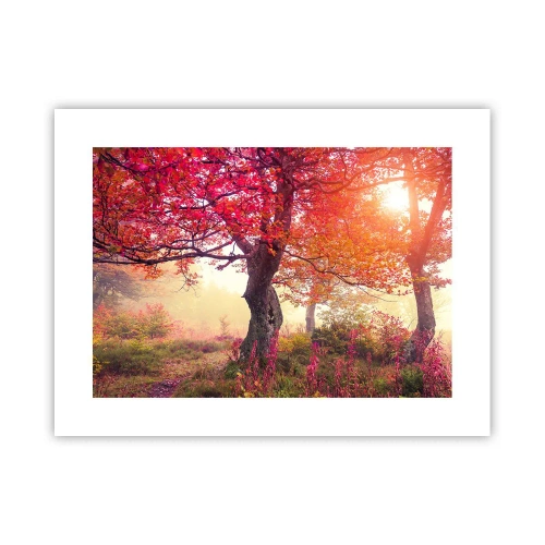 Poszter - Virágzás őrülete - 40x30 cm