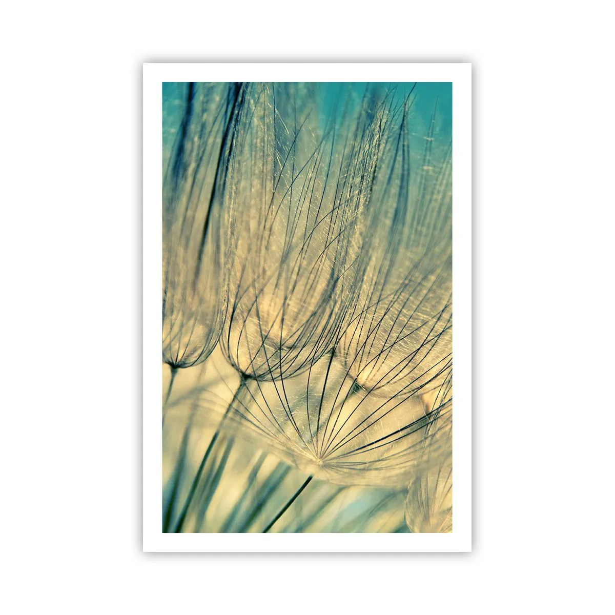 Poszter - A szélre várva - 61x91 cm