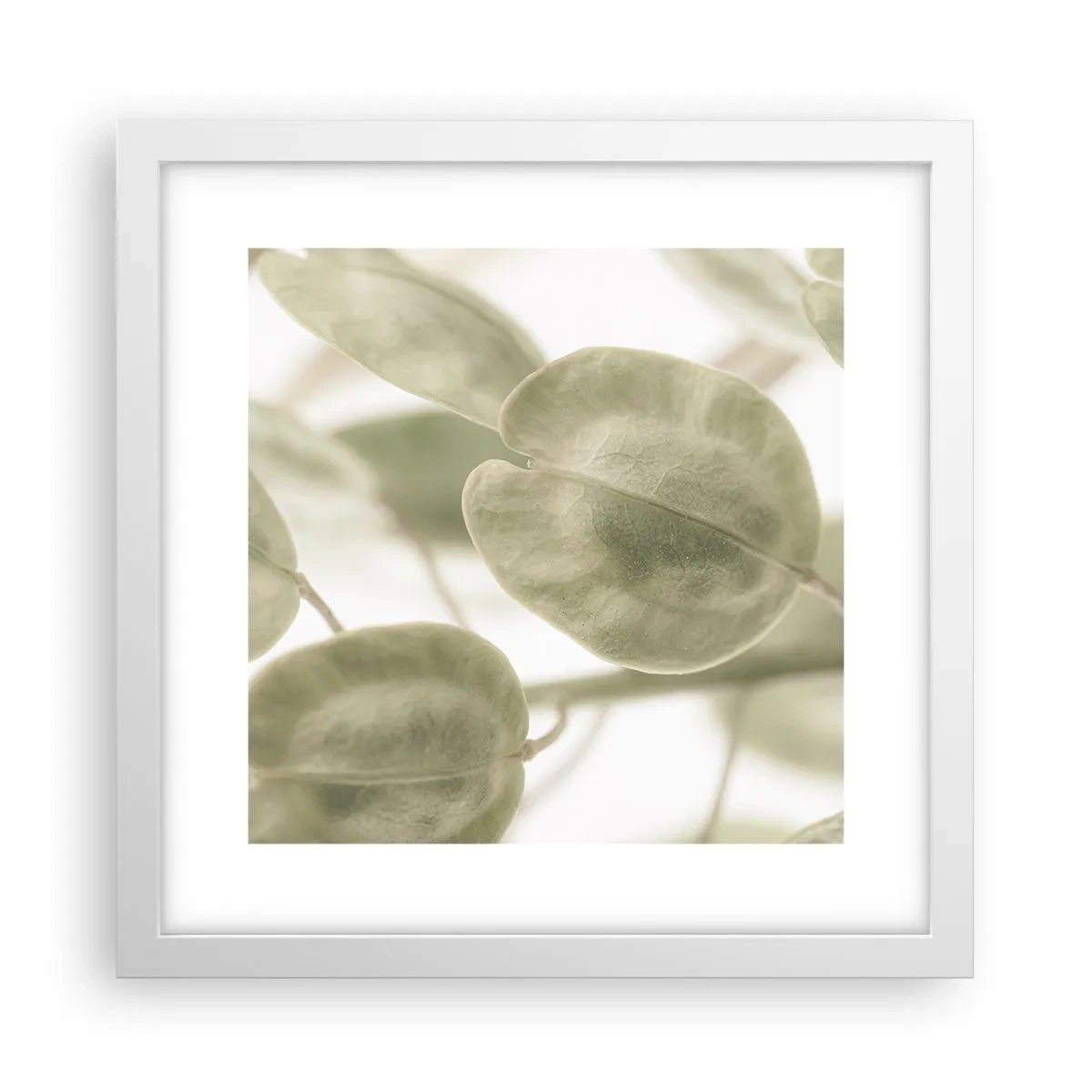 Poszter fekete keretben - Kezdetben levelek voltak... - 30x30 cm