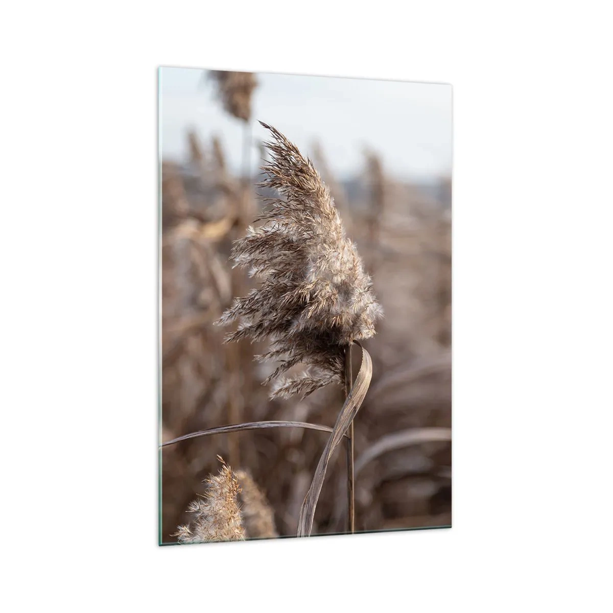 Üveg kép - Ideje elrepülni a széllel - 70x100 cm