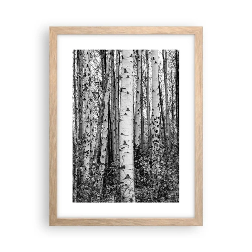 Poszter világos tölgy keretben - Nyírfa oszlopsor - 30x40 cm