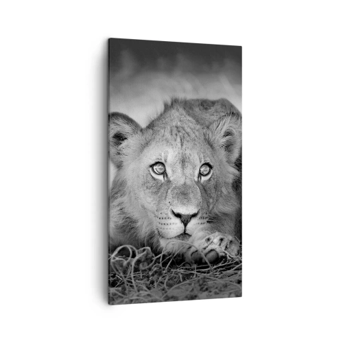 Vászonkép - Királyi kölyök - 45x80 cm