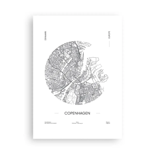 Poszter - Koppenhága anatómiája - 50x70 cm