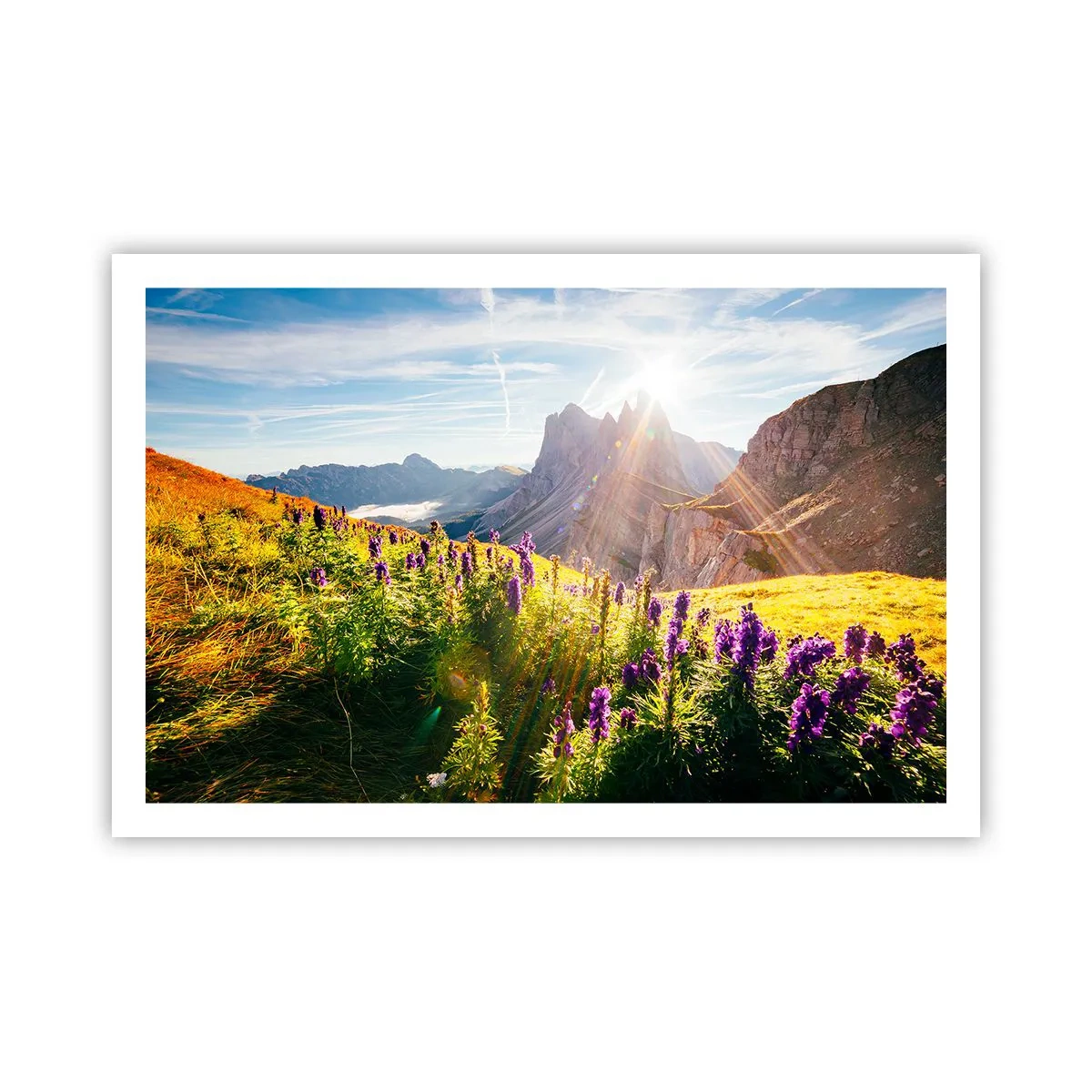 Poszter - A gyógynövények titkos élete - 91x61 cm