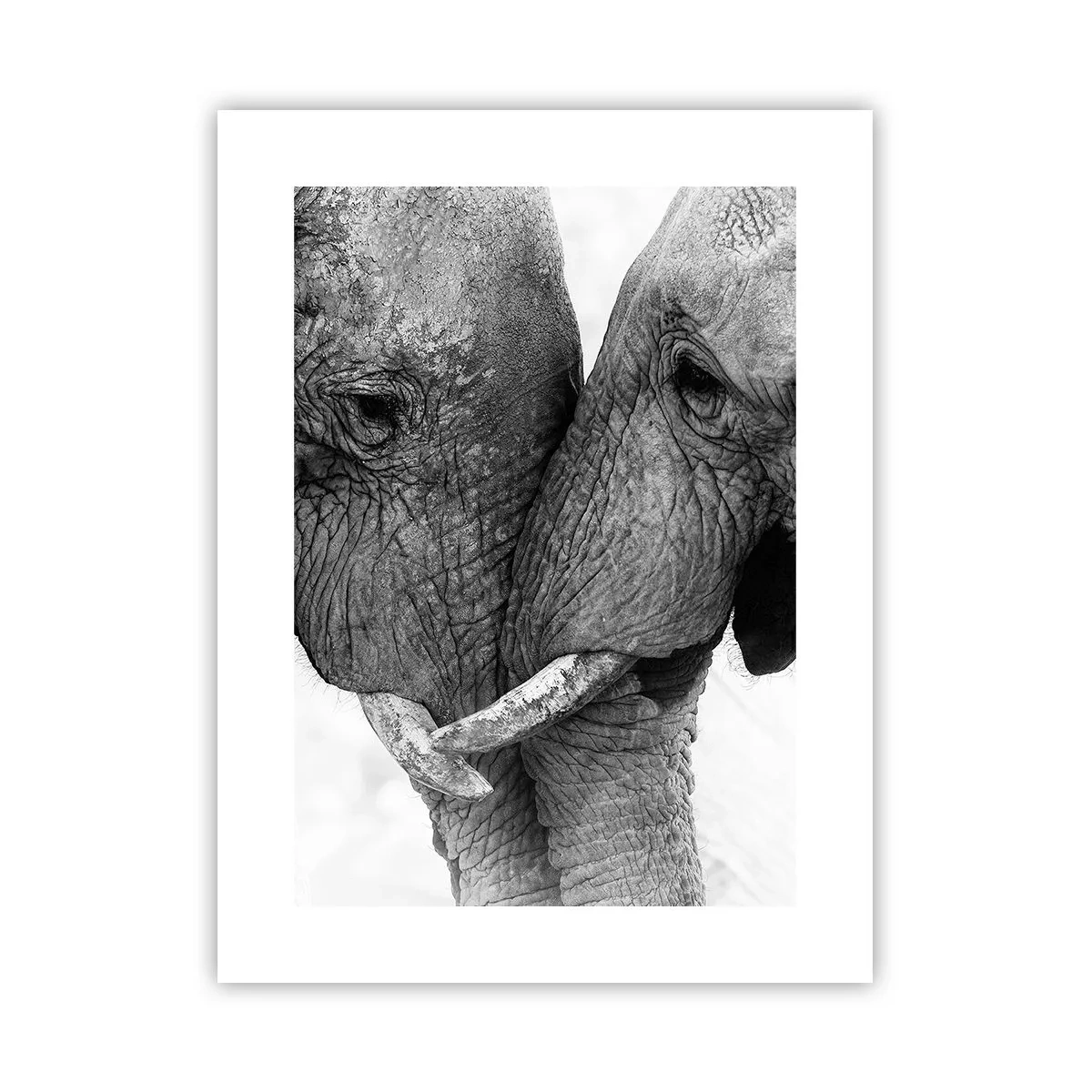 Poszter - Szívélyes vallomás - 30x40 cm