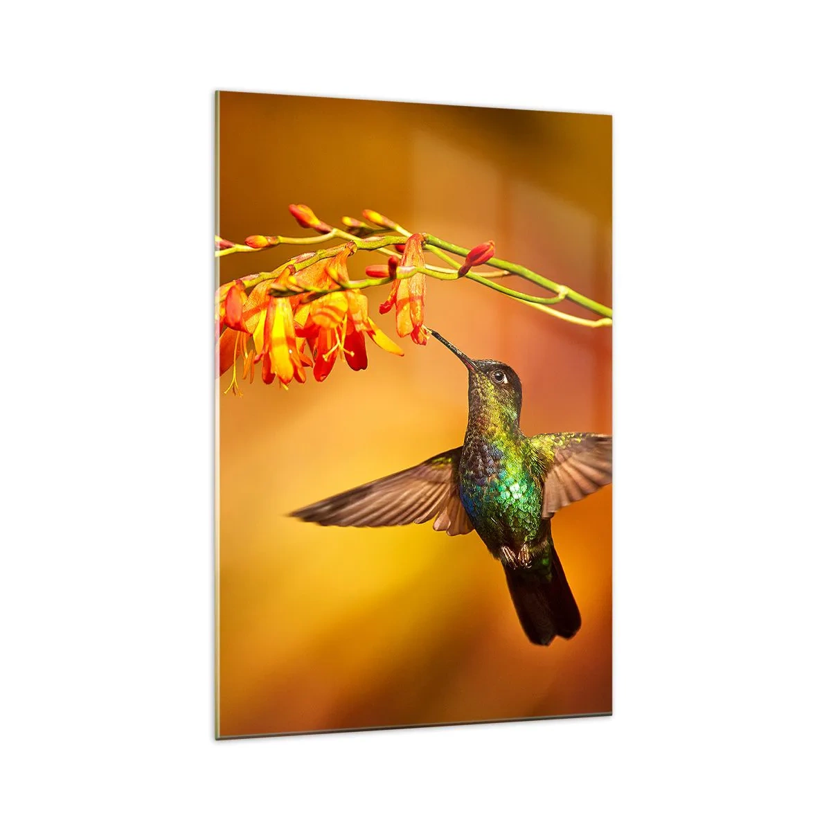 Üveg kép - A fény hírnöke a maják szerint - 70x100 cm