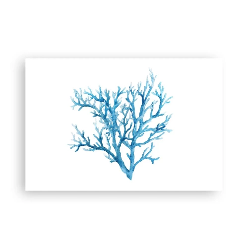 Poszter - Tengeri filigrán - 91x61 cm