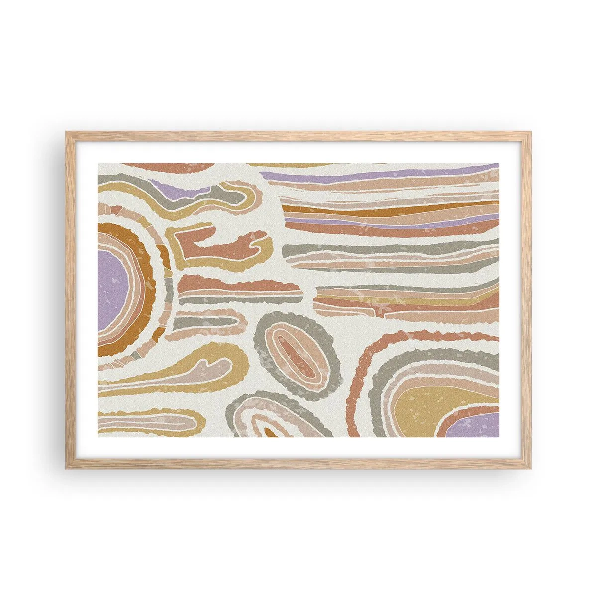 Poszter világos tölgy keretben - Színes keresztmetszetek - 70x50 cm