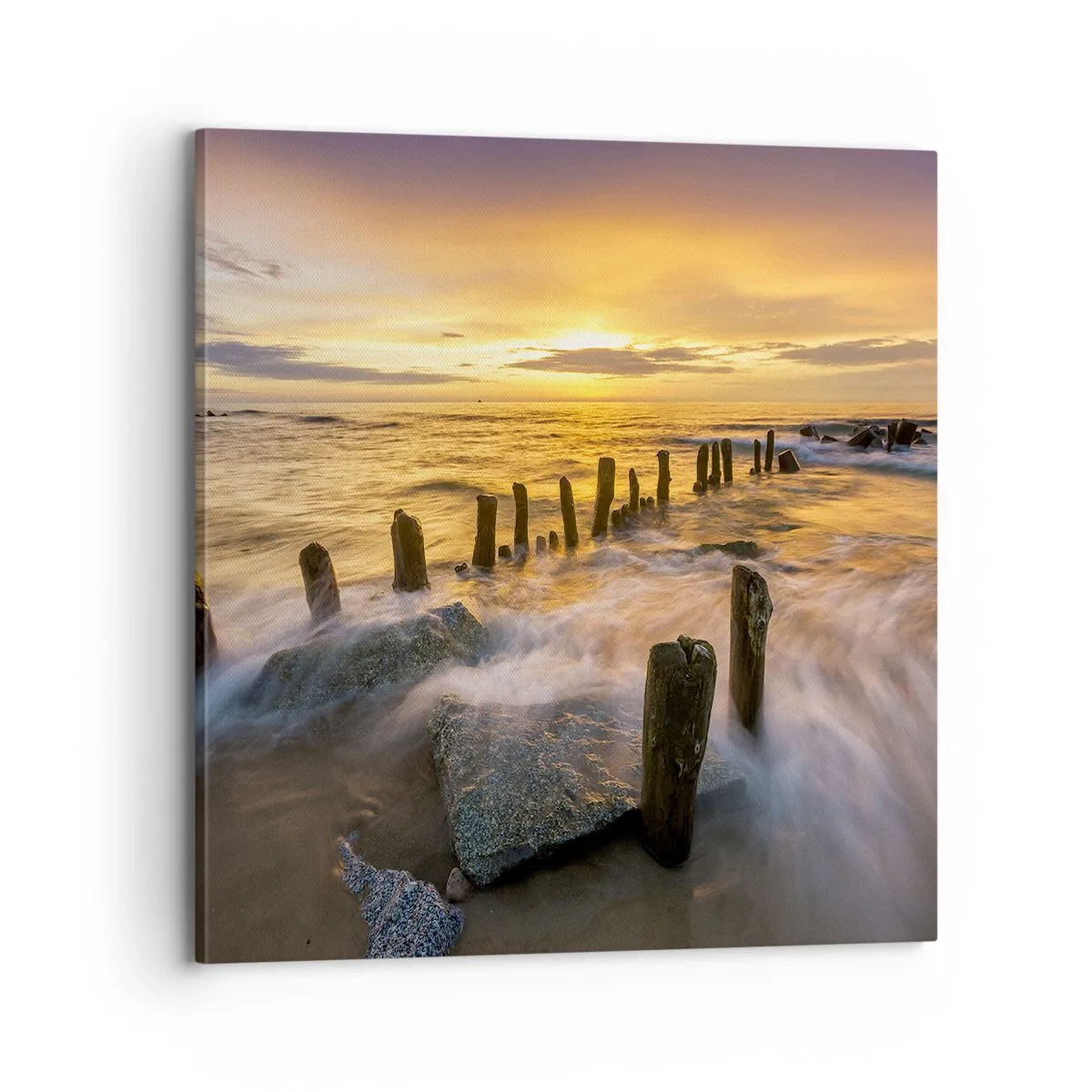 Vászonkép - A Balti-tenger nyers szépsége - 70x70 cm