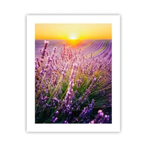 Poszter - Illatos szálak - 40x50 cm