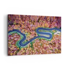 Vászonkép - Kanyargós út az erdőn keresztül - 100x70 cm