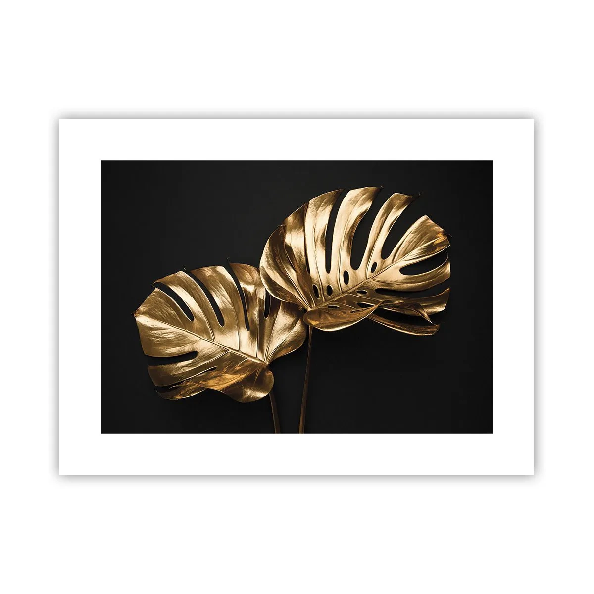 Poszter - A természet kincsei - 40x30 cm