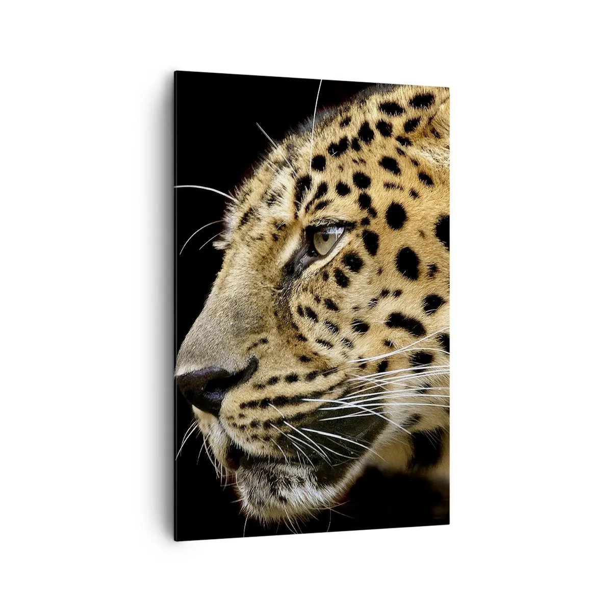 Vászonkép - Nyugodt, koncentrált, kész - 80x120 cm