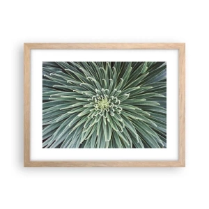 Poszter világos tölgy keretben - Csillag születik - 40x30 cm