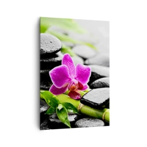 Vászonkép - Nyugodt egyensúlyban - 70x100 cm