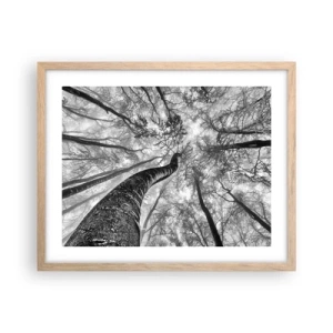 Poszter világos tölgy keretben - Verseny a fény felé - 50x40 cm