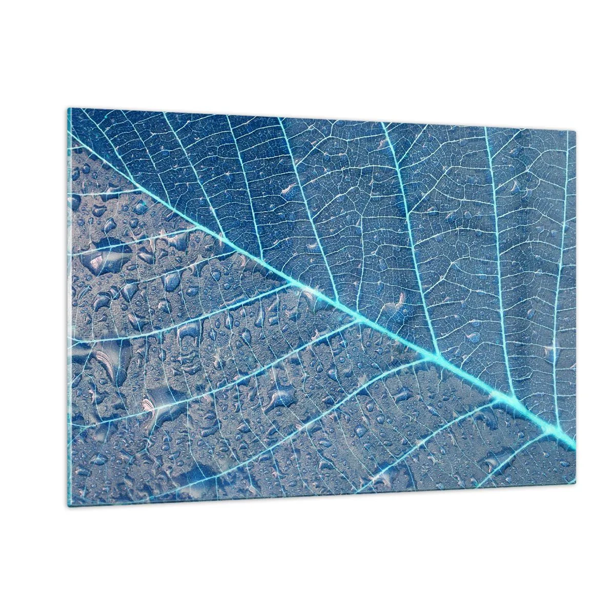Üveg kép - Az élet kékben - 120x80 cm