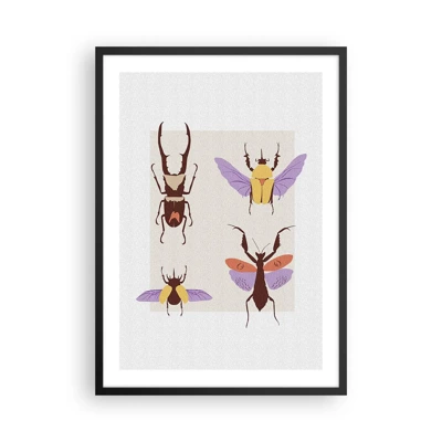 Poszter fehér keretben - A rovarok világa - 50x70 cm
