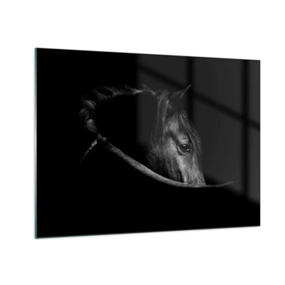 Üveg kép - Fekete herceg - 70x50 cm