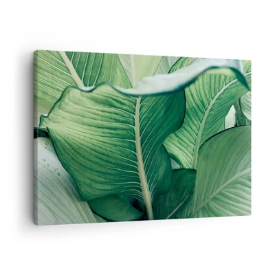 Vászonkép - Intenzíven zöld élet - 70x50 cm