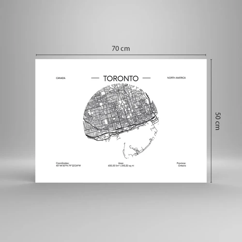 Poszter - Toronto anatómiája - 70x50 cm