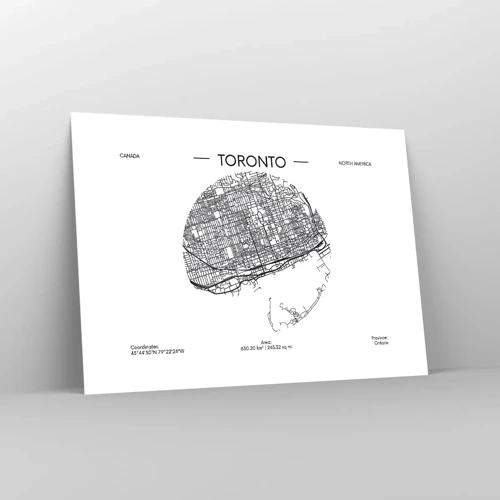 Poszter - Toronto anatómiája - 70x50 cm