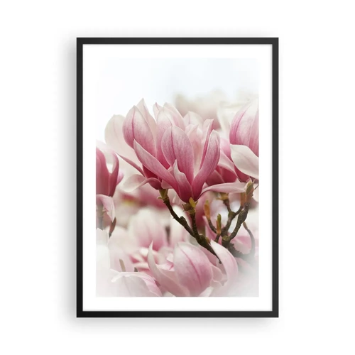 Poszter fehér keretben - Tavaszi virágok - 50x70 cm