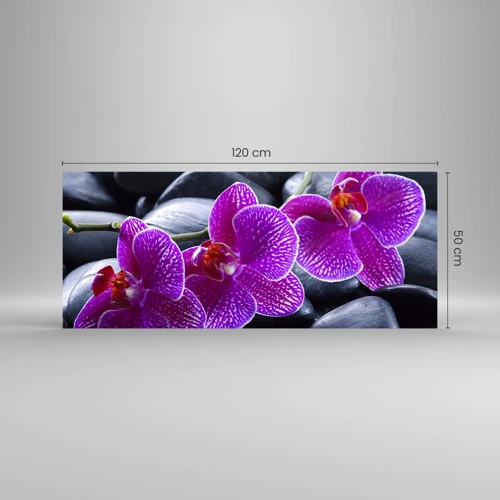 Üveg kép - A kövek kivilágosodtak az örömtől - 120x50 cm