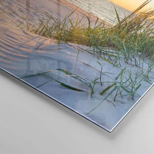 Üveg kép - A tenger hangja, a madarak éneke, egy vad tengerpart a fű között... - 60x60 cm