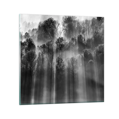 Üveg kép - Fénypatakokban - 70x70 cm