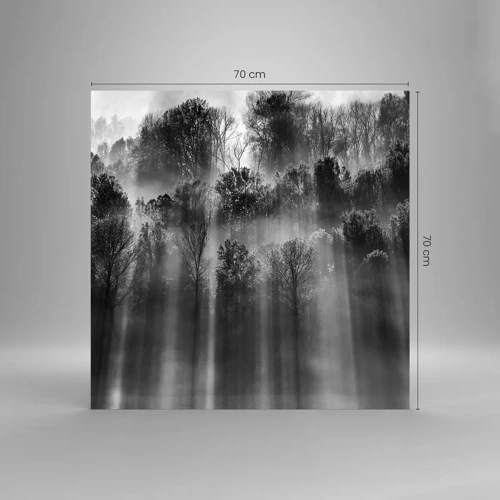 Üveg kép - Fénypatakokban - 70x70 cm