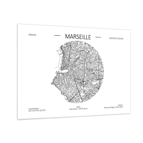 Üveg kép - Marseille anatómiája - 70x50 cm