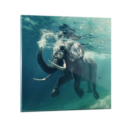 Üveg kép - Mindenki szeret úszni - 40x40 cm