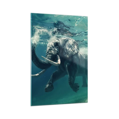 Üveg kép - Mindenki szeret úszni - 70x100 cm