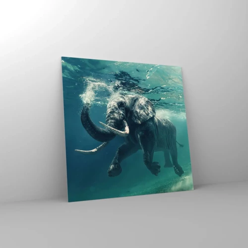 Üveg kép - Mindenki szeret úszni - 70x70 cm