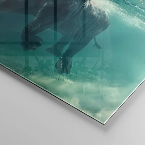 Üveg kép - Mindenki szeret úszni - 80x120 cm
