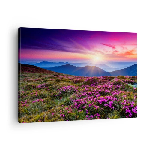 Vászonkép Arttor 70x50 cm - A gyógynövények friss fürtjei illatoztak a mezőkről - Tájkép, Hegyek, Virágok, Zöld Dombok, A Napnyugta, A nappaliba, A hálószobába, Rózsaszín, Kék, Vízszintes, Vászon, AA70x50-2719