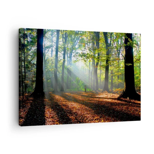Vászonkép Arttor 70x50 cm - Ragyogások és árnyékok - Erdő, Fák, Természet, A Nap Sugarai, Tájkép, A nappaliba, A hálószobába, Narancssárga, Zöld, Vízszintes, Vászon, AA70x50-0136
