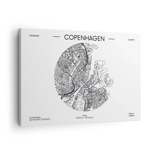 Vászonkép - Koppenhága anatómiája - 70x50 cm