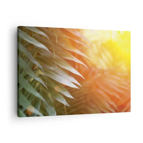 Vászonkép - Reggel a dzsungelben - 70x50 cm